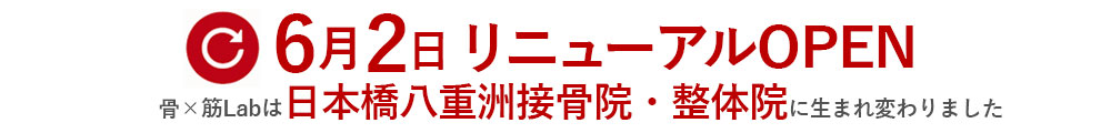 リニューアルのお知らせ